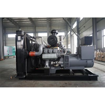 300kw威曼柴油發(fā)電機(jī)組-威曼6缸柴油機(jī)D11A柴油發(fā)電機(jī)組,缸徑/行程：128/142mm,柴油發(fā)電機(jī)組水冷發(fā)動(dòng)機(jī)功率314KW,柴油發(fā)電機(jī)組配套馬拉松斯坦福發(fā)電機(jī)。廠價(jià)直銷(xiāo)歡迎選購(gòu)：13773399855。