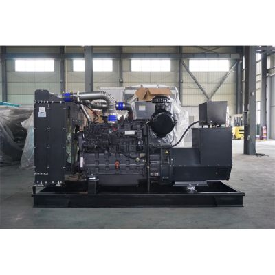 工廠直銷250KW柴油發(fā)電機，品牌有廣西玉柴、無錫動力、威曼、通柴等柴油發(fā)電機組。廠價直銷歡迎選購：13773399855。
