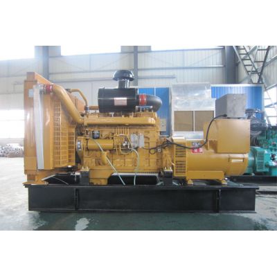 300kw上柴正新柴油發(fā)電機(jī)組-上柴正新6缸柴油機(jī)G128ZLD11柴油發(fā)電機(jī)組,缸徑/行程：135/150mm,柴油發(fā)電機(jī)組水冷發(fā)動(dòng)機(jī)功率306KW,柴油發(fā)電機(jī)組配套馬拉松斯坦福發(fā)電機(jī)。廠價(jià)直銷歡迎選購(gòu)：13773399855。